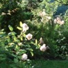 image 16