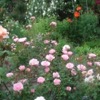 image 32