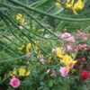 image 37