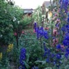 image 65