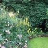image 68